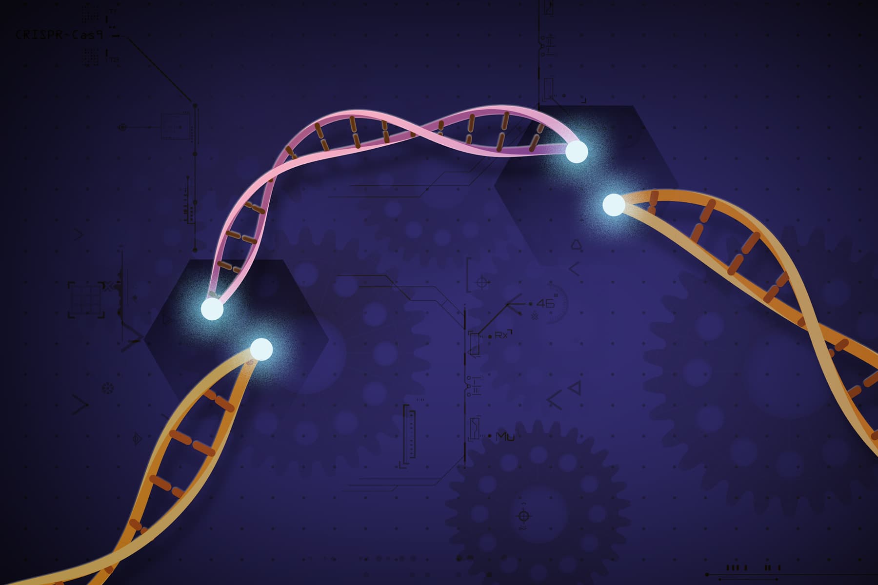 Editorial illustration of CRISPR-Cas9 cutting and rejoining a strand of DNA