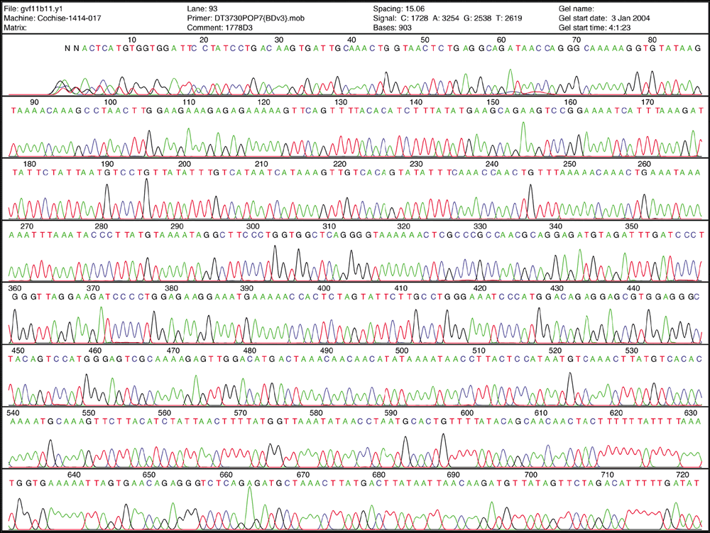 Printed Sanger sequencing chromatogram showing rows of four-color peak traces with base calls